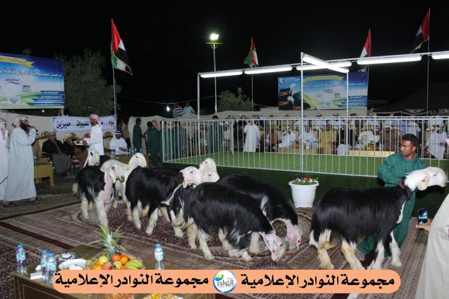 فعاليات جلسة محبي النجدية بدولة الإمارات ( العين) 1 / 1 / 2015